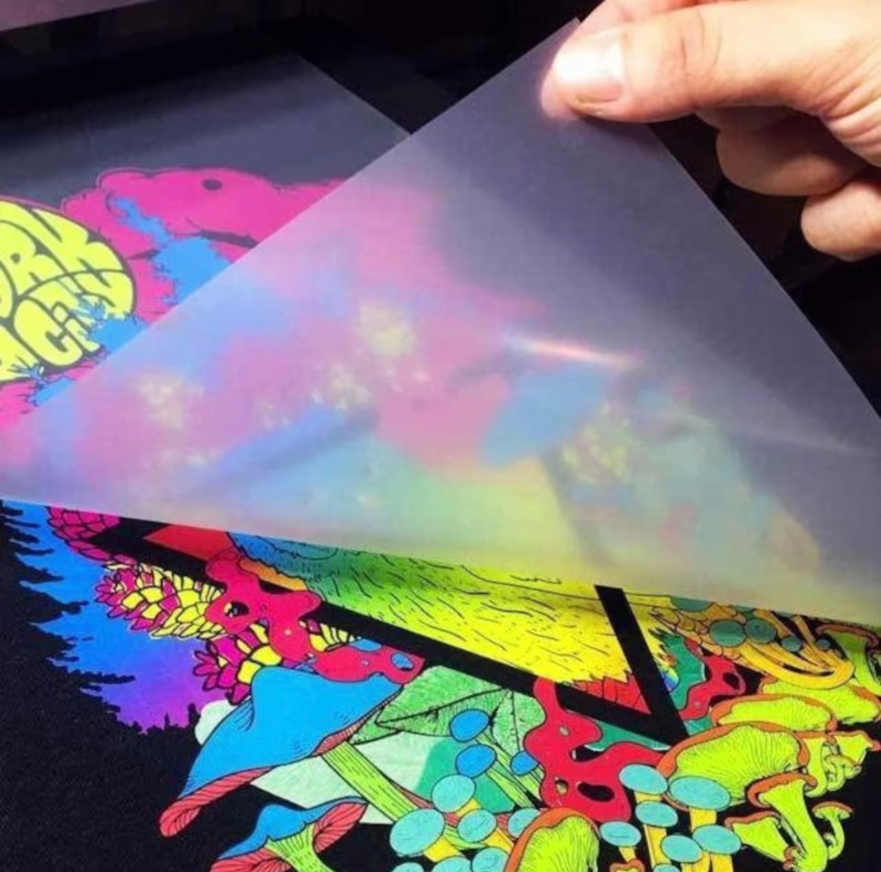 Customized DTF Transfer Sheets/Tshirt DTF Transfer